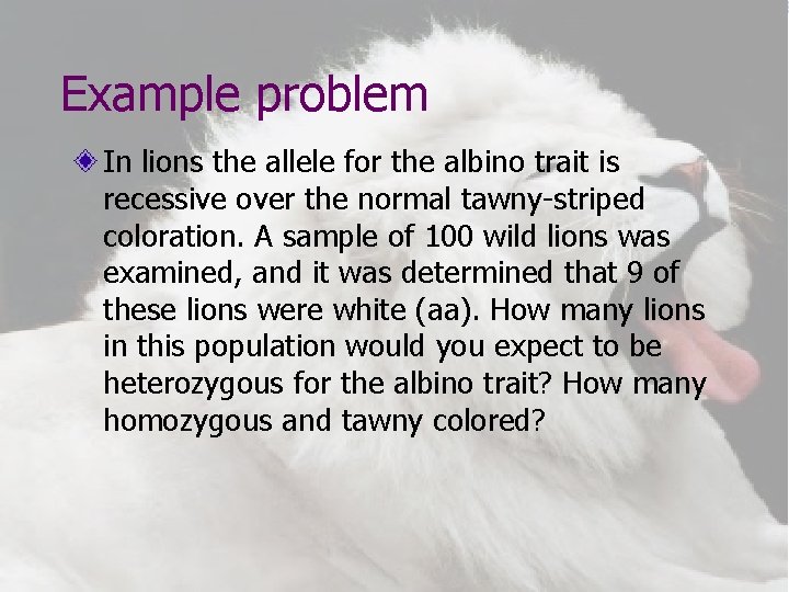Example problem In lions the allele for the albino trait is recessive over the