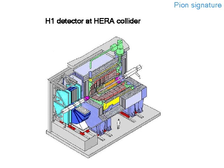 Pion signature H 1 detector at HERA collider 