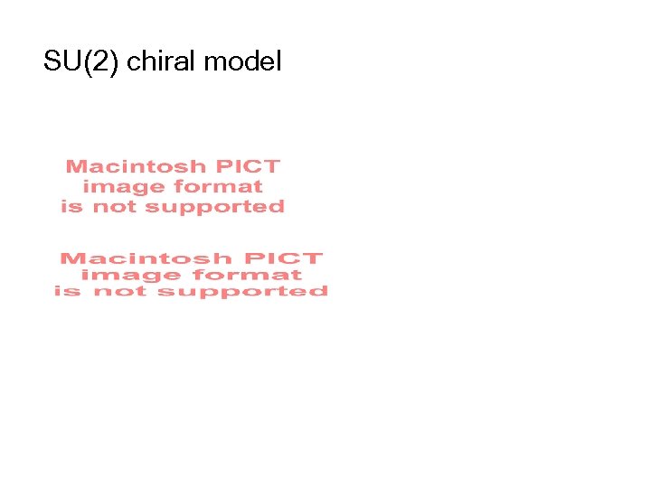 SU(2) chiral model 