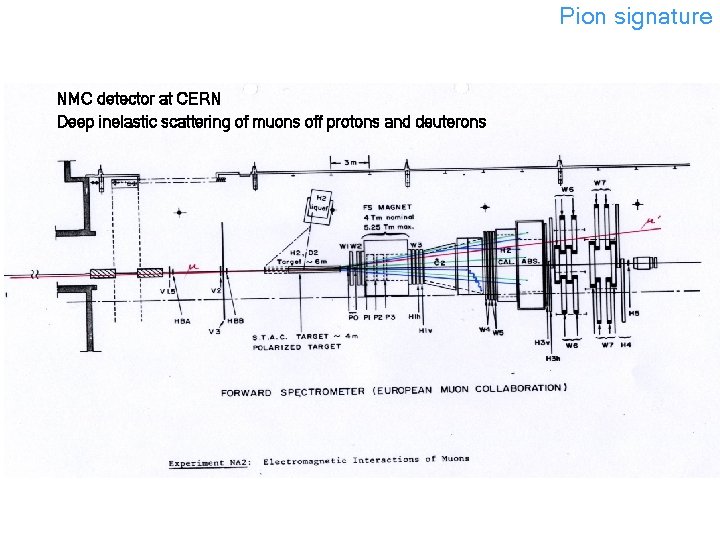Pion signature NMC detector at CERN Deep inelastic scattering of muons off protons and