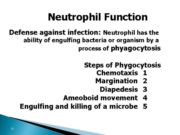 Neutrophil Function Defense against infection: Neutrophil has the ability of engulfing bacteria or organism