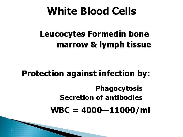 White Blood Cells Leucocytes Formedin bone marrow & lymph tissue Protection against infection by: