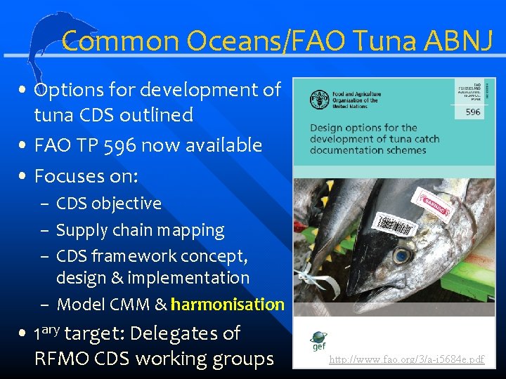 Common Oceans/FAO Tuna ABNJ • Options for development of tuna CDS outlined • FAO