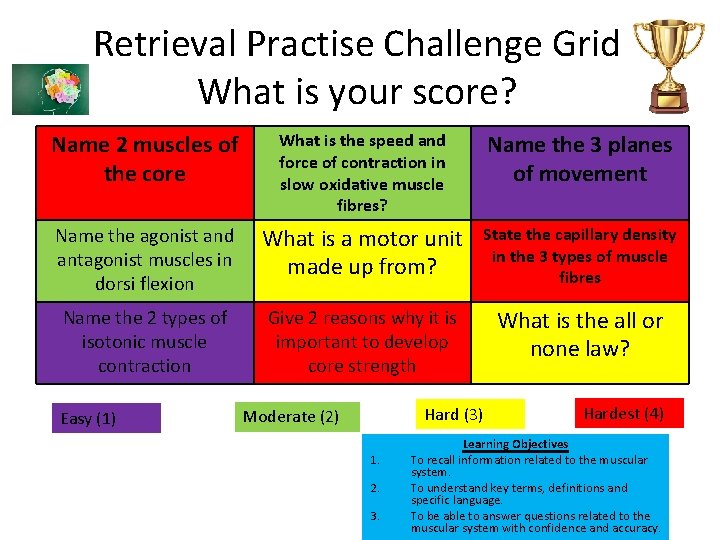 Muscular System Revision Learning Objectives 1 To recall