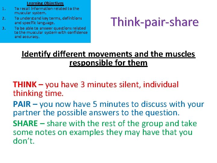 1. 2. 3. Learning Objectives To recall information related to the muscular system. To