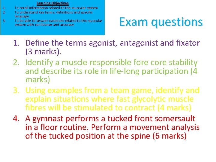 1. 2. 3. Learning Objectives To recall information related to the muscular system. To