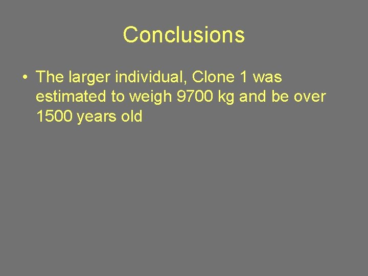 Conclusions • The larger individual, Clone 1 was estimated to weigh 9700 kg and