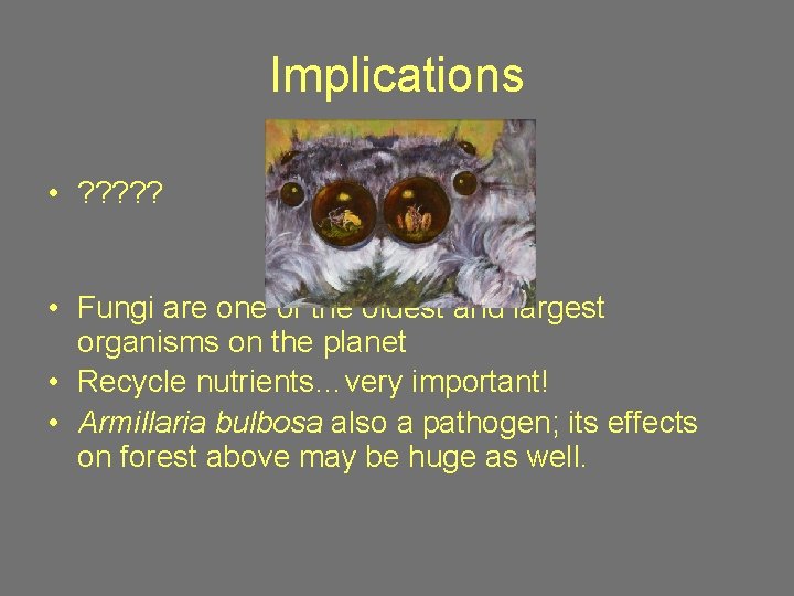 Implications • ? ? ? • Fungi are one of the oldest and largest