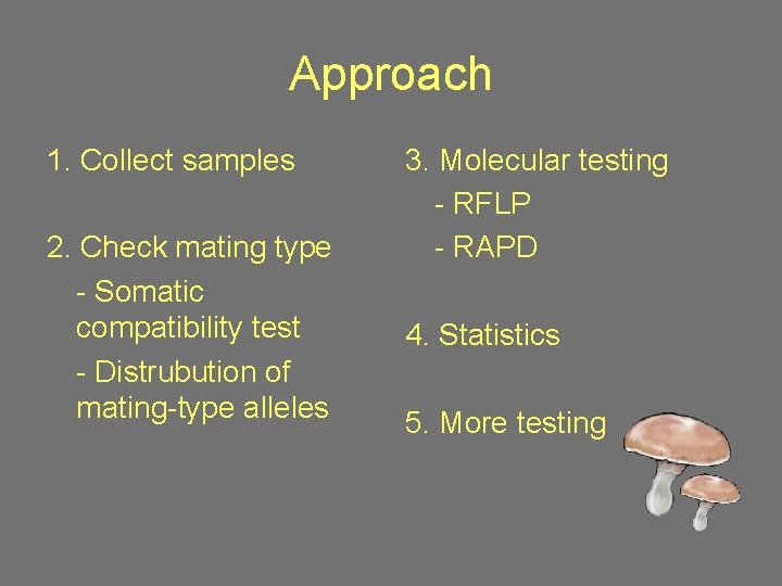 Approach 1. Collect samples 2. Check mating type - Somatic compatibility test - Distrubution