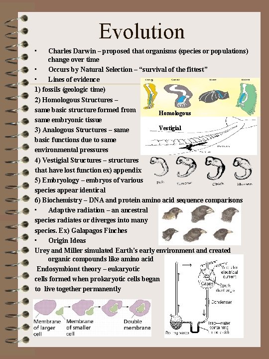 Evolution • Charles Darwin – proposed that organisms (species or populations) change over time