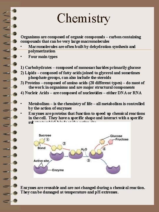 Chemistry Organisms are composed of organic compounds – carbon containing compounds that can be