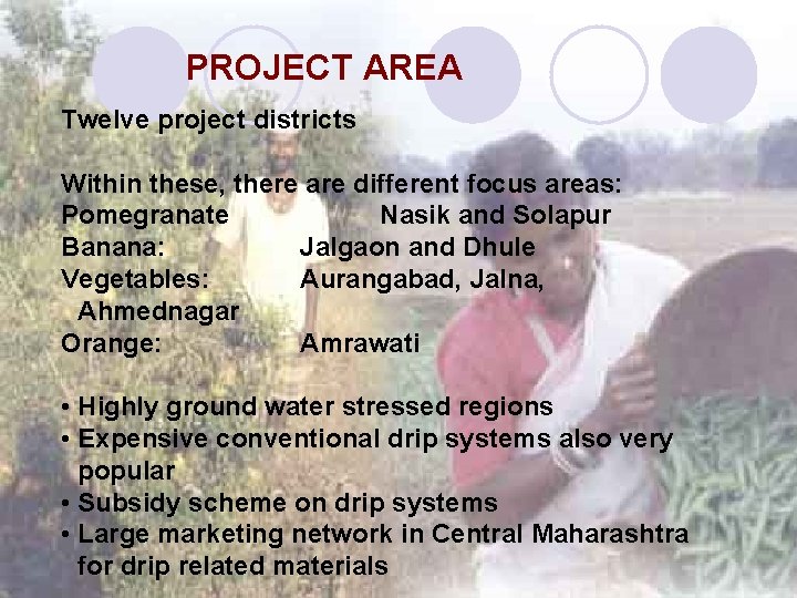 PROJECT AREA Twelve project districts Within these, there are different focus areas: Pomegranate Nasik