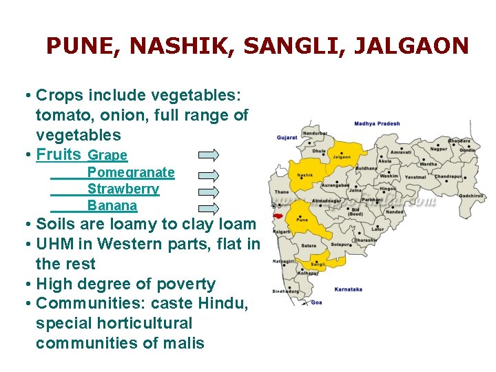 PUNE, NASHIK, SANGLI, JALGAON • Crops include vegetables: tomato, onion, full range of vegetables