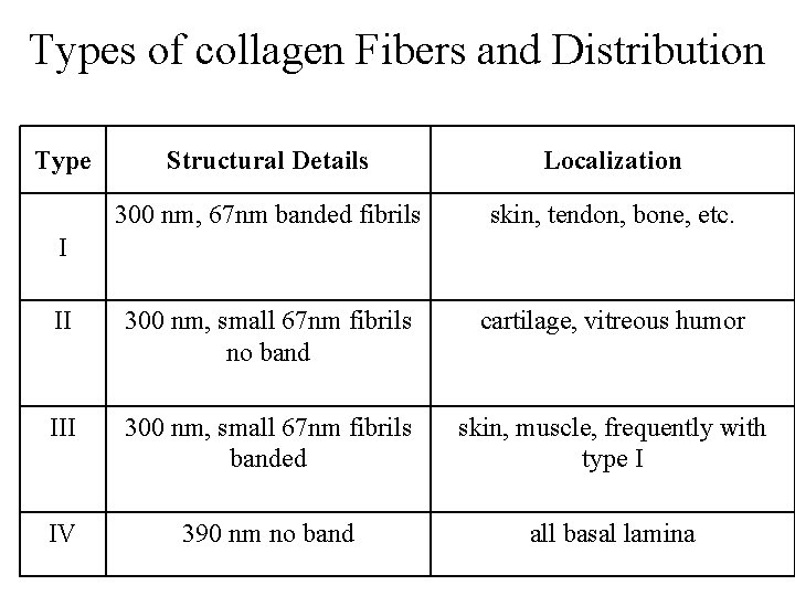 Types of collagen Fibers and Distribution Type Structural Details Localization 300 nm, 67 nm
