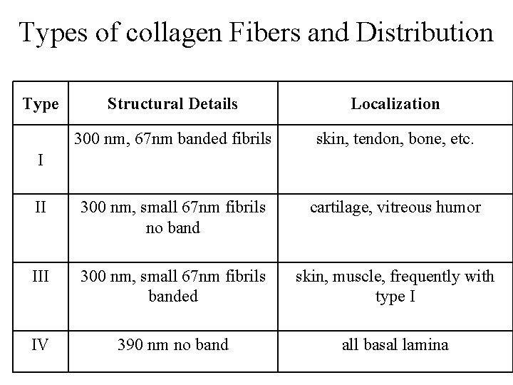 Types of collagen Fibers and Distribution Type Structural Details Localization 300 nm, 67 nm Types of collagen Fibers and Distribution Type Structural Details Localization 300 nm, 67 nm