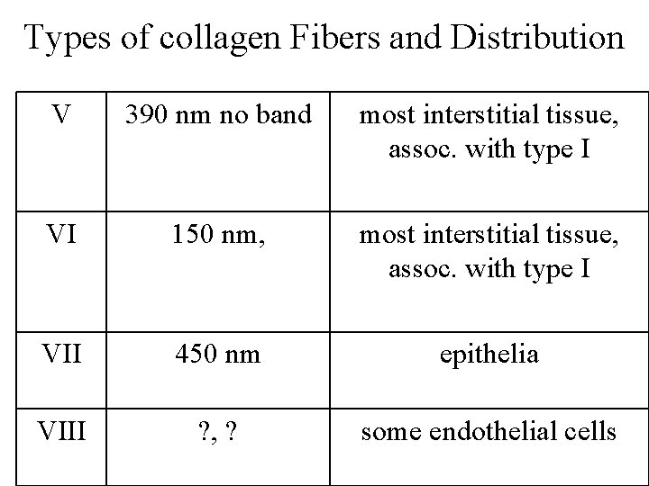 Types of collagen Fibers and Distribution V 390 nm no band most interstitial tissue,