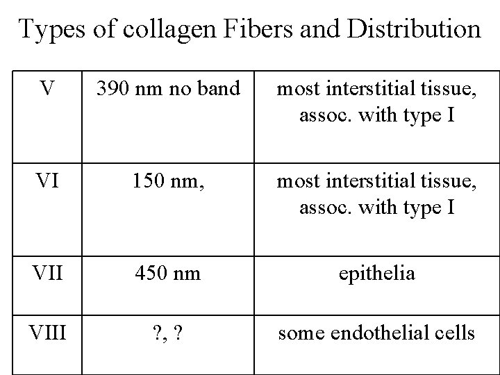 Types of collagen Fibers and Distribution V 390 nm no band most interstitial tissue, Types of collagen Fibers and Distribution V 390 nm no band most interstitial tissue,