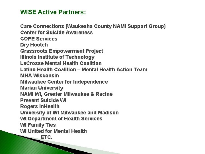 WISE Active Partners: Care Connections (Waukesha County NAMI Support Group) Center for Suicide Awareness