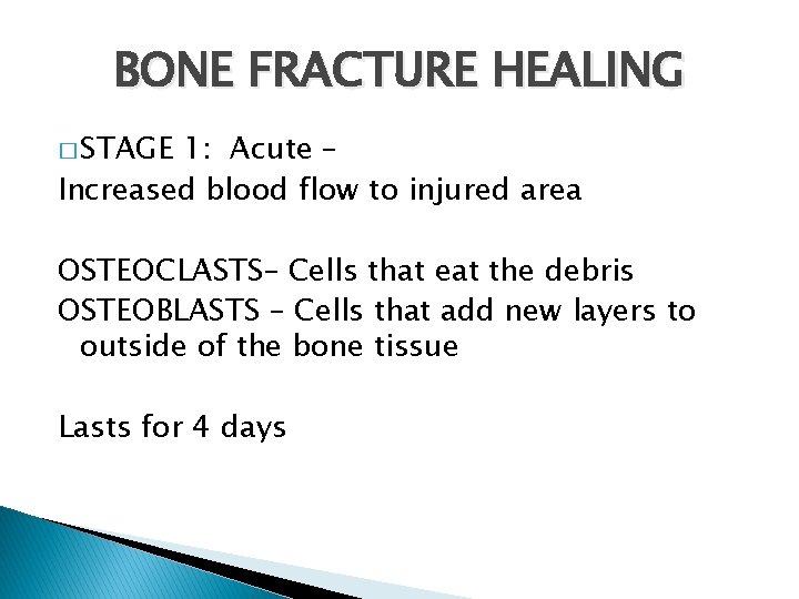 BONE FRACTURE HEALING � STAGE 1: Acute – Increased blood flow to injured area