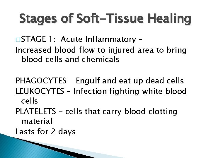 Stages of Soft-Tissue Healing � STAGE 1: Acute Inflammatory – Increased blood flow to