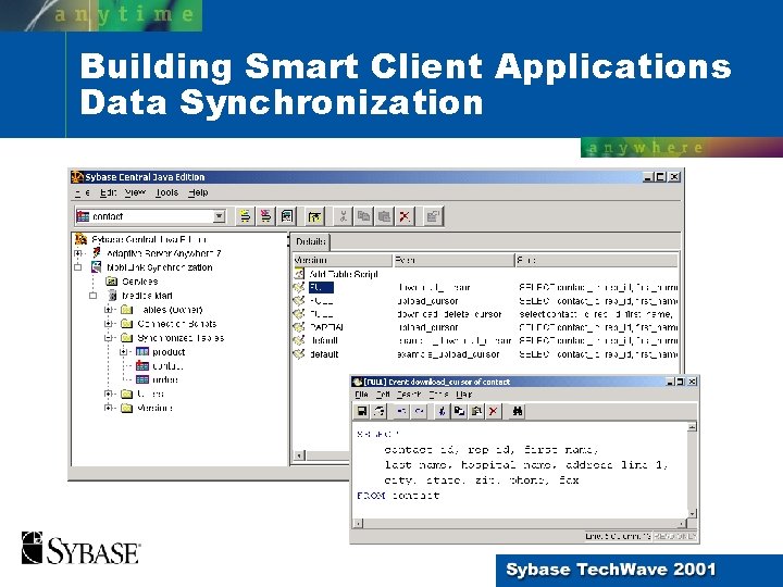 Building Smart Client Applications Data Synchronization 