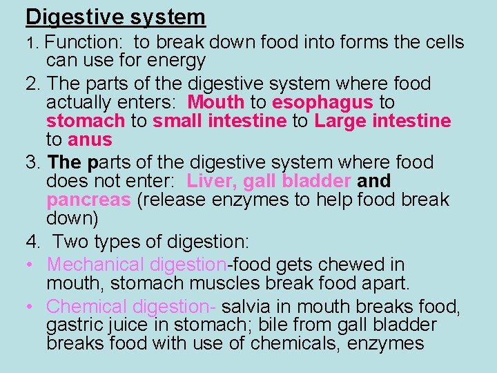 Digestive system 1. Function: to break down food into forms the cells can use