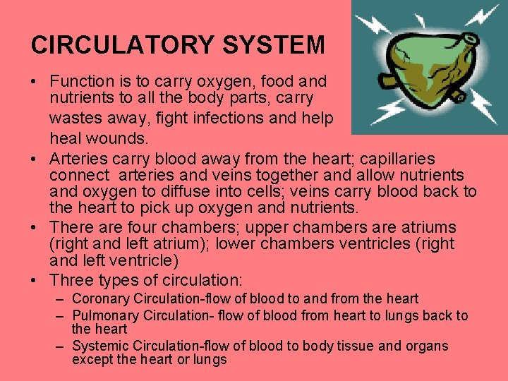 CIRCULATORY SYSTEM • Function is to carry oxygen, food and nutrients to all the