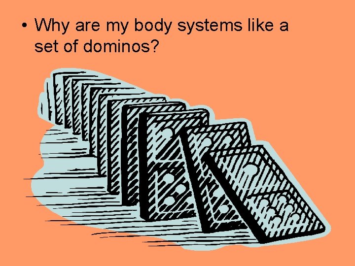  • Why are my body systems like a set of dominos? 