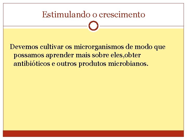 Estimulando o crescimento Devemos cultivar os microrganismos de modo que possamos aprender mais sobre