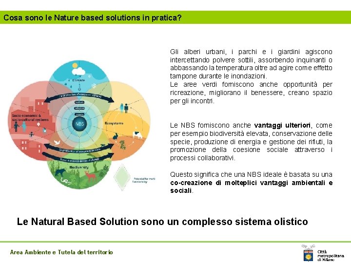 Cosa sono le Nature based solutions in pratica? Gli alberi urbani, i parchi e