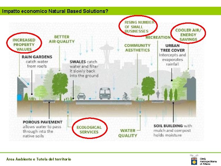 Impatto economico Natural Based Solutions? RISING NUMBER OF SMALL BUSINESSES Area Ambiente e Tutela