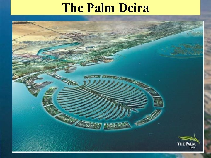 The Palm Deira 35 