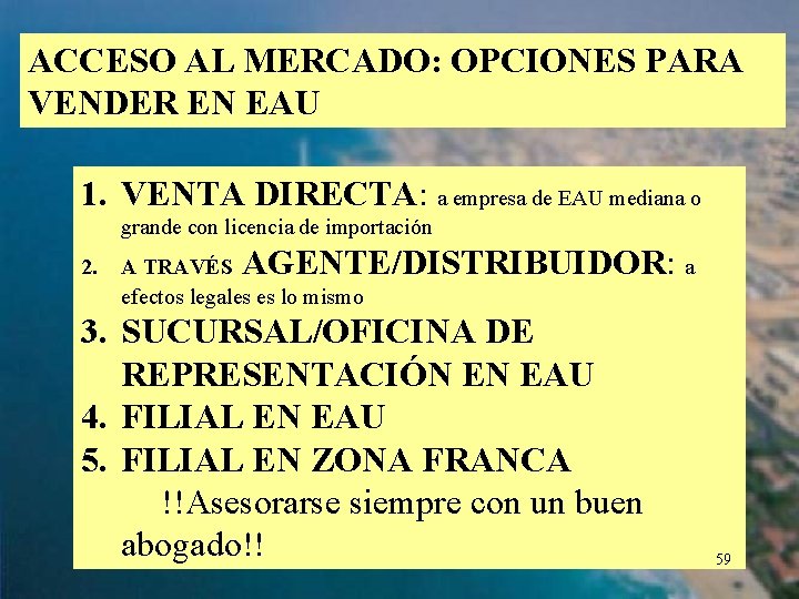 ACCESO AL MERCADO: OPCIONES PARA VENDER EN EAU 1. VENTA DIRECTA: a empresa de