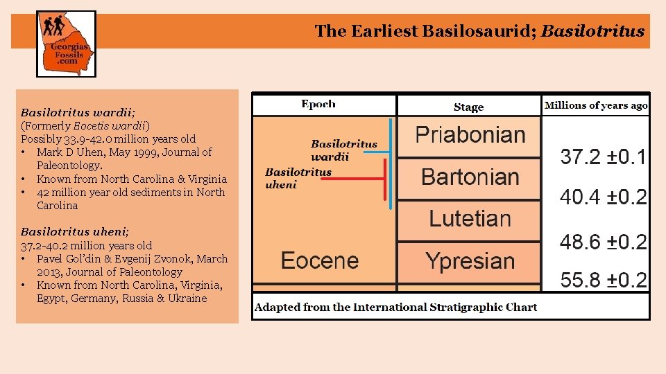 The Earliest Basilosaurid; Basilotritus wardii; (Formerly Eocetis wardii) Possibly 33. 9 -42. 0 million