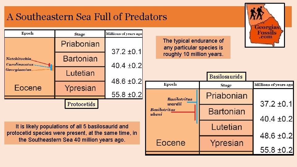 A Southeastern Sea Full of Predators The typical endurance of any particular species is