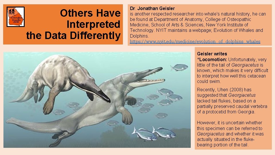 Others Have Interpreted the Data Differently Dr. Jonathan Geisler is another respected researcher into