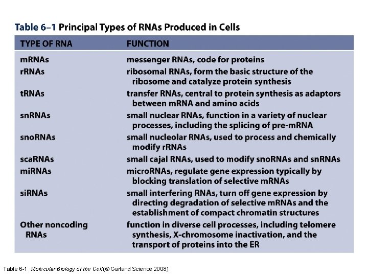 Table 6 -1 Molecular Biology of the Cell (© Garland Science 2008) Table 6 -1 Molecular Biology of the Cell (© Garland Science 2008)