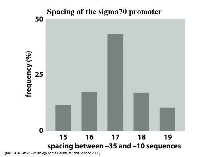 Spacing of the sigma 70 promoter Figure 6 -12 b Molecular Biology of the Spacing of the sigma 70 promoter Figure 6 -12 b Molecular Biology of the