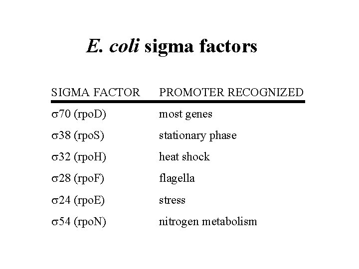 E. coli sigma factors SIGMA FACTOR PROMOTER RECOGNIZED 70 (rpo. D) most genes 38 E. coli sigma factors SIGMA FACTOR PROMOTER RECOGNIZED 70 (rpo. D) most genes 38