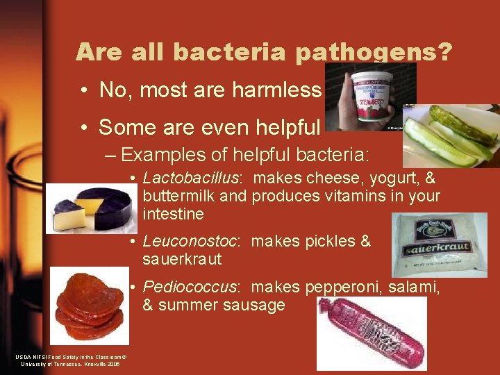 Are all bacteria pathogens? • No, most are harmless • Some are even helpful