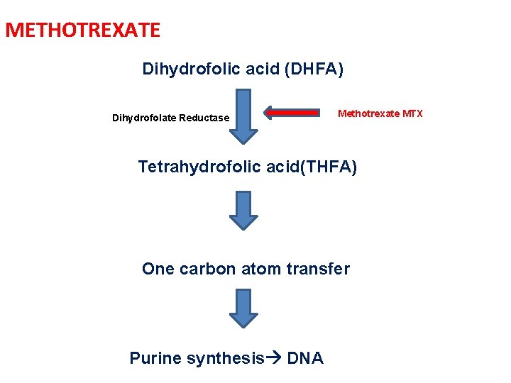 METHOTREXATE Dihydrofolic acid (DHFA) Dihydrofolate Reductase Methotrexate MTX Tetrahydrofolic acid(THFA) One carbon atom transfer