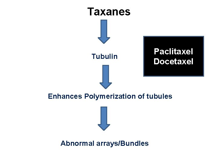 Taxanes Tubulin Paclitaxel Docetaxel Enhances Polymerization of tubules Abnormal arrays/Bundles 