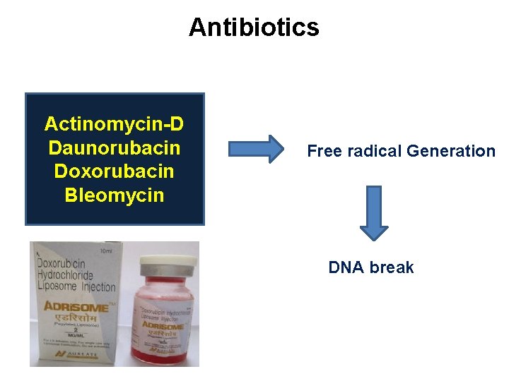 Antibiotics Actinomycin-D Daunorubacin Doxorubacin Bleomycin Free radical Generation DNA break 