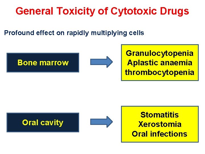 General Toxicity of Cytotoxic Drugs Profound effect on rapidly multiplying cells Bone marrow Granulocytopenia