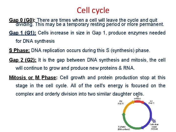 Cell cycle Gap 0 (G 0): There are times when a cell will leave