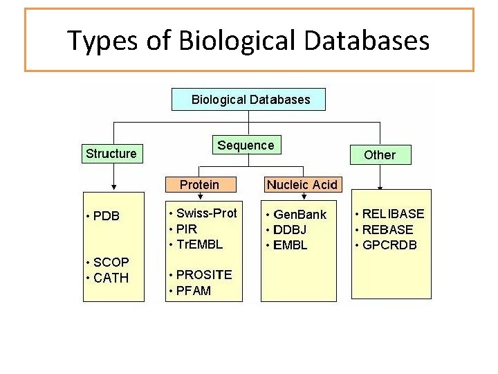 Types of Biological Databases 