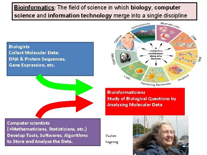 Bioinformatics: The field of science in which biology, computer science and information technology merge