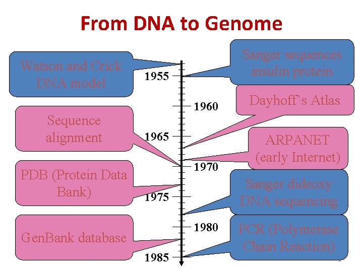 From DNA to Genome Watson and Crick DNA model Sequence alignment PDB (Protein Data