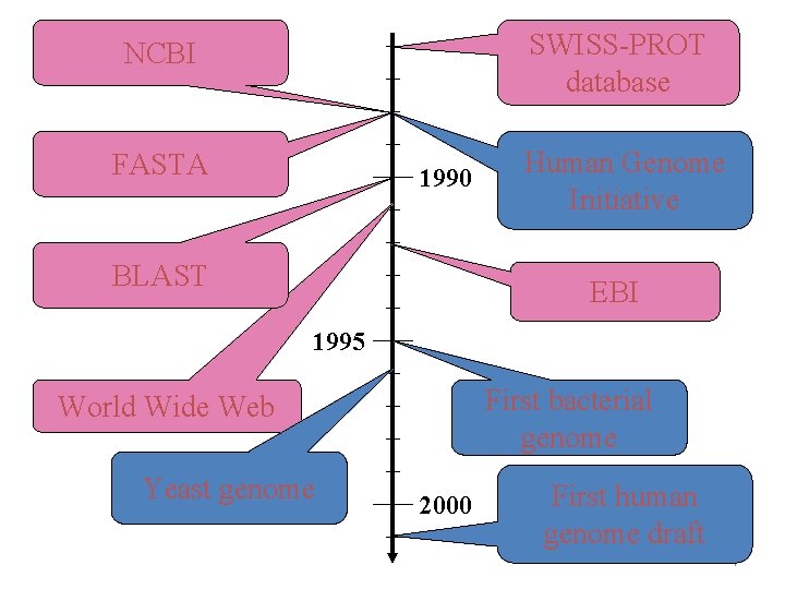 SWISS-PROT database NCBI FASTA 1990 BLAST Human Genome Initiative EBI 1995 First bacterial genome