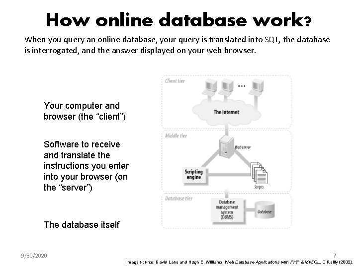 How online database work? When you query an online database, your query is translated